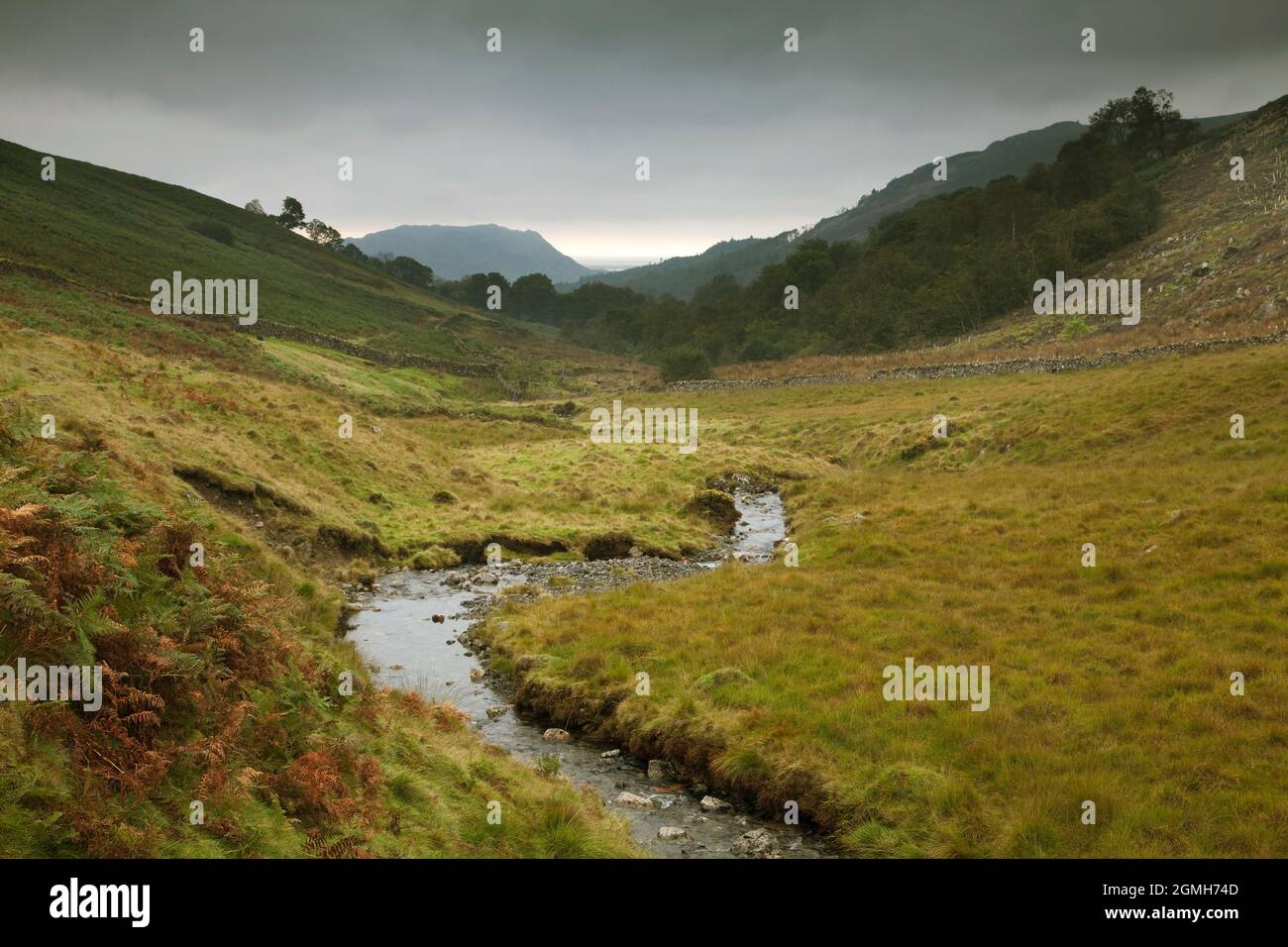 River Mite in Miterdale, English Lake District, UK Stock Photo