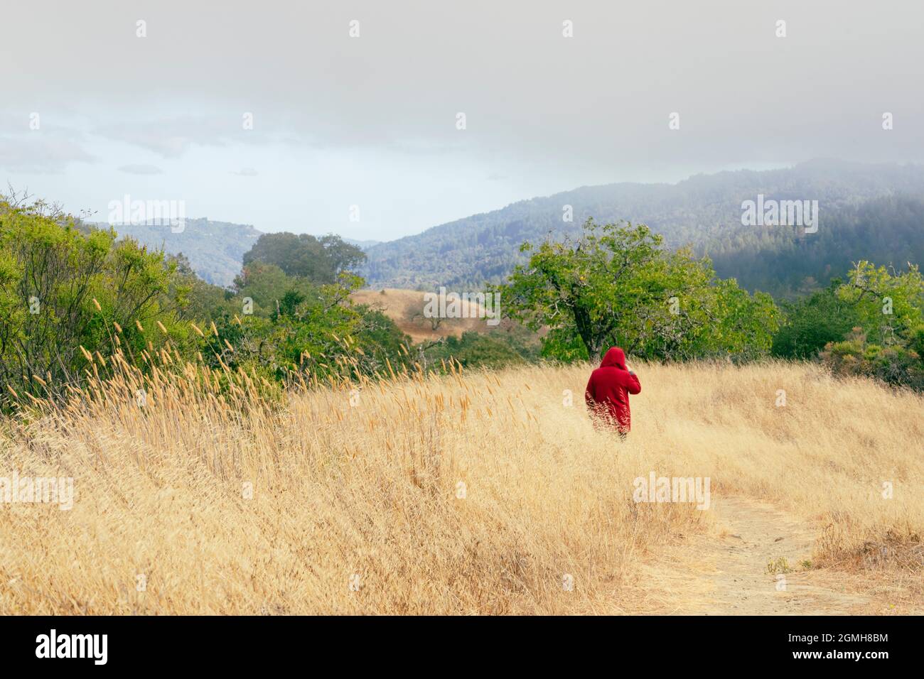 Woman Hiking in Red Jacket in California Coastal Range Stock Photo