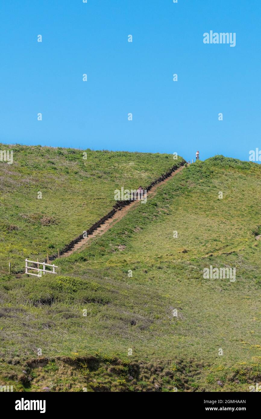 A person walking up a set of steep steps on a grassy hill in the countryside. Stock Photo