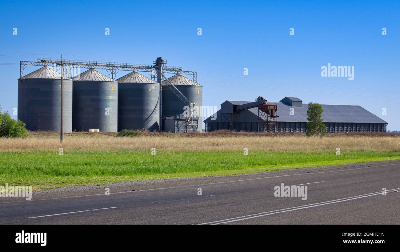 Four large silos and storage shed beside road and railway near Narrandera in NSW Stock Photo