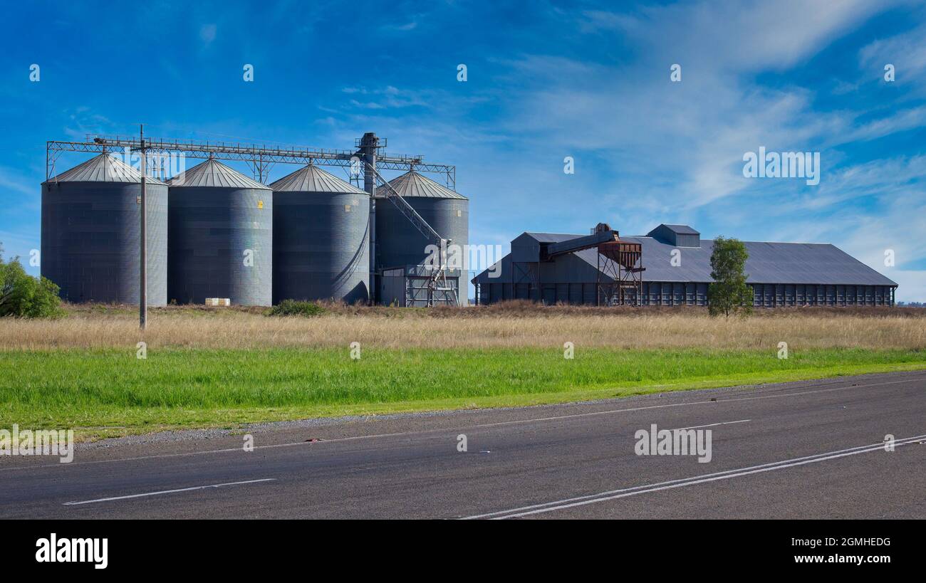 Group of four silos and large storage shed on rural railway line in New South Wales Stock Photo