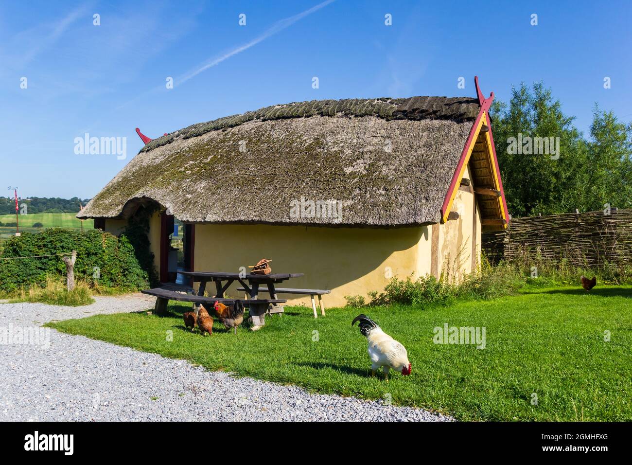 Chickens in front of the small viking house in Fyrkat village near Hobro, Denmark Stock Photo