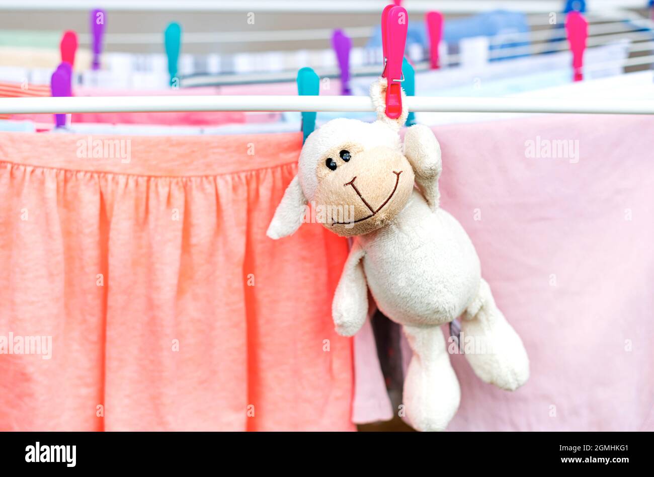 The soft toy is dried in a dryer Stock Photo Alamy