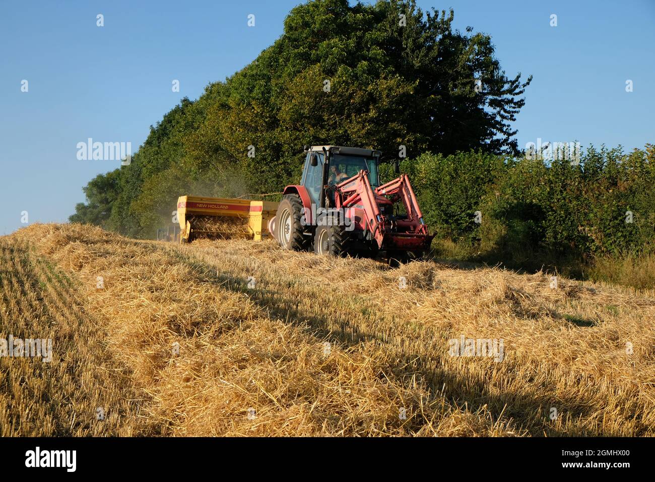 A farm tractor pulls a baling machine down a Herefordshire field to make straw bales after the barley corn harvest has been combined Stock Photo