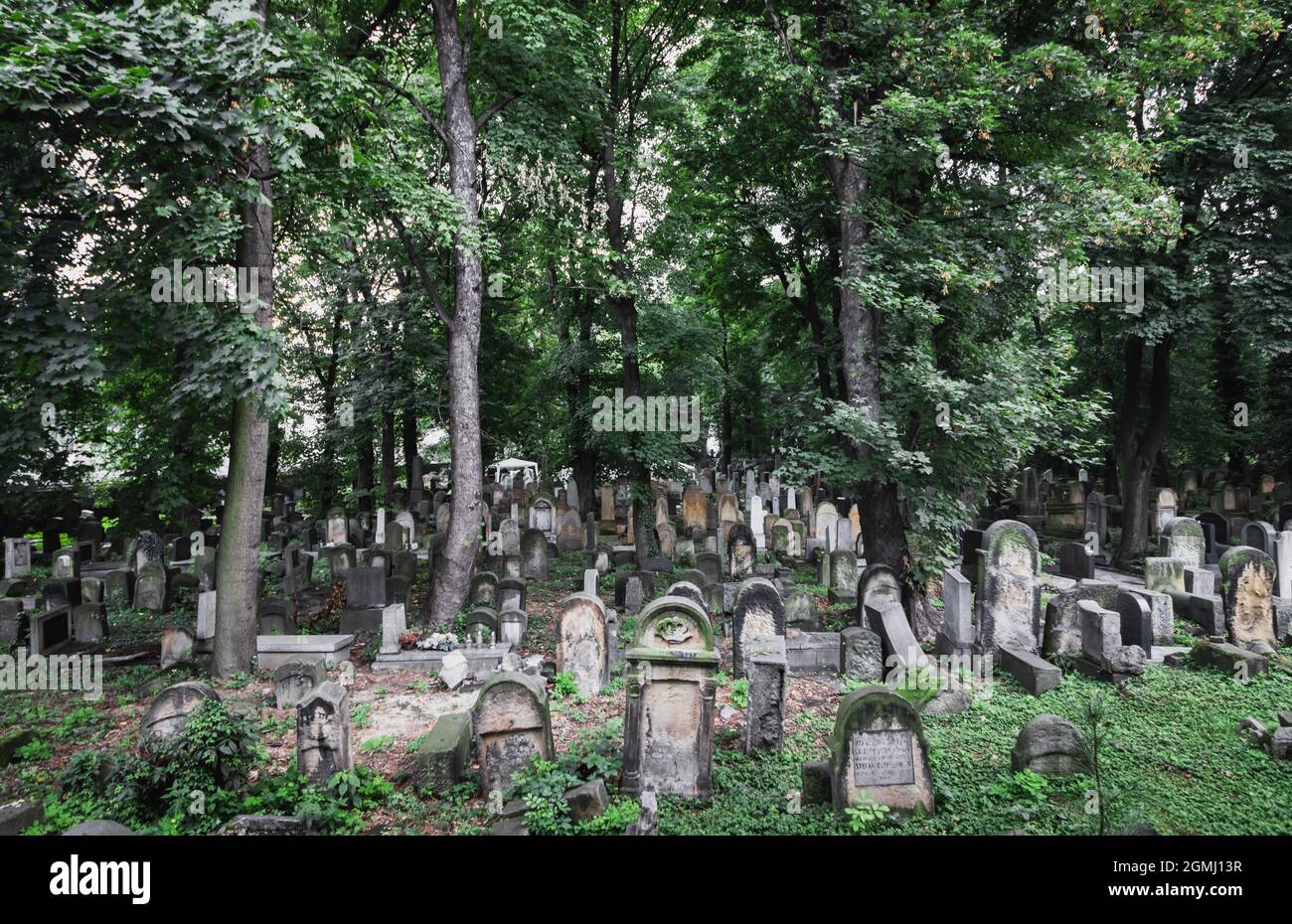 A view from above of the gravestones in the new Jewish cemetery in Krakow, Poland Stock Photo