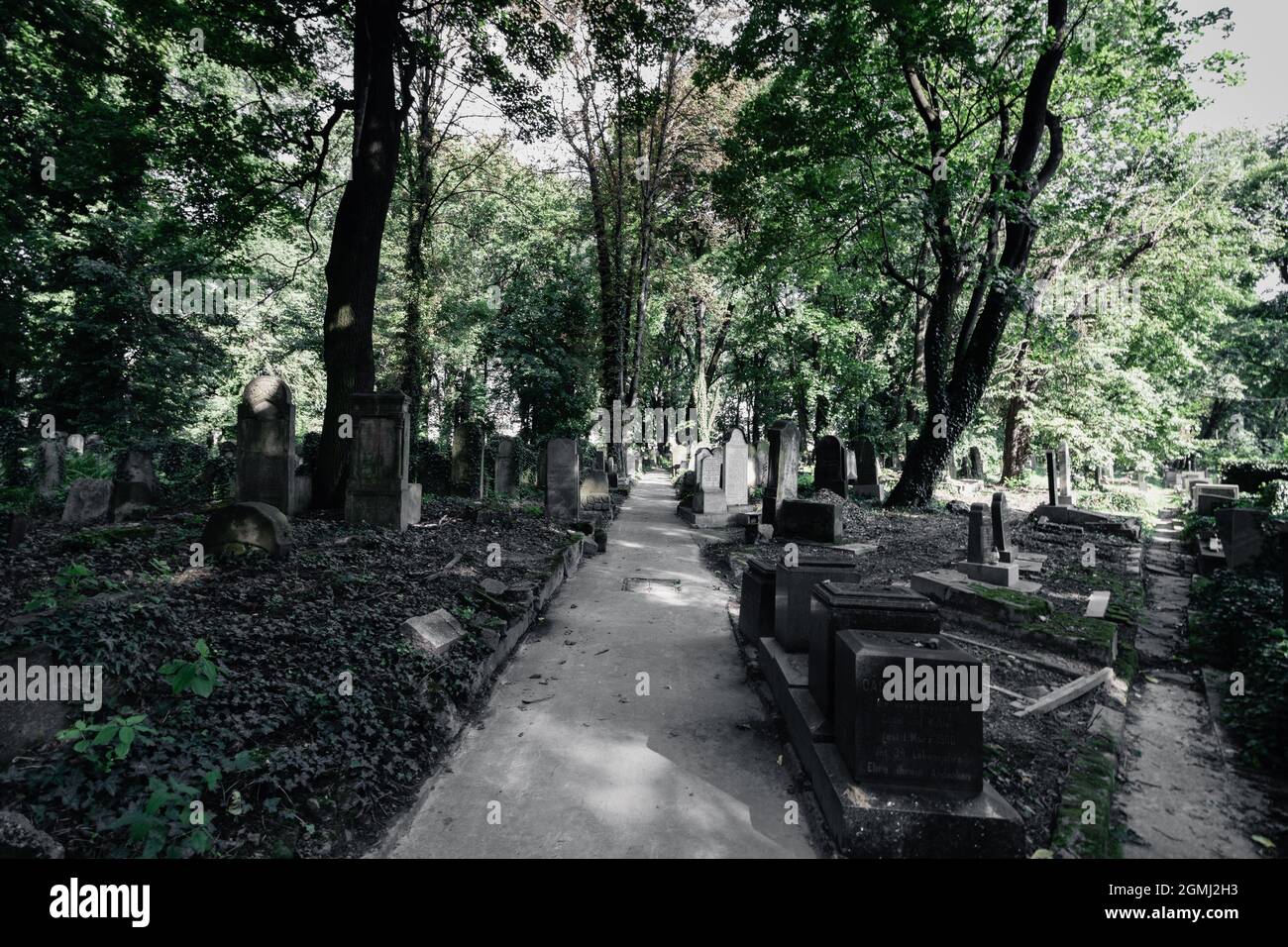 krakow- poland, 03-09-2021. A path in the middle of the Jewish cemetery in Krakow on Miodowa Street, Stock Photo