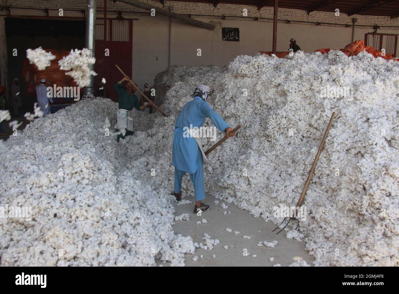 Kunduz, Afghanistan. 19th Sep, 2021. Afghans work at a cotton processing  factory in Kunduz city, northern Afghanistan, Sept. 19, 2021. A war-damaged  cotton processing factory reopened on Sunday in Kunduz city, the