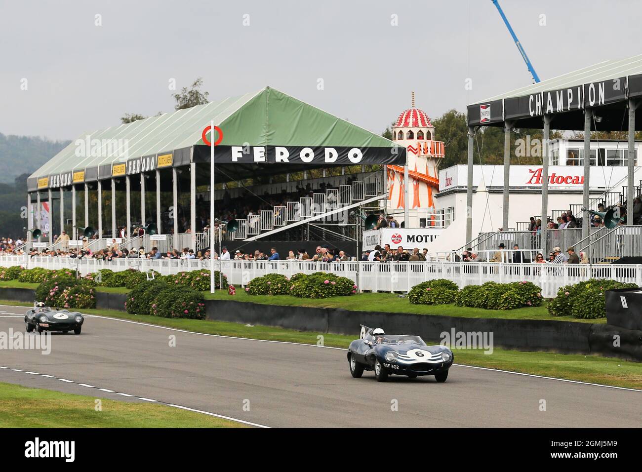 Goodwood Motor Circuit 17 September 2021. #6 Christian Glasel driven by Gary Pearson, 1955 Jaguar D-type 'long-nose' , Sussex Trophy, during the Goodwood Revival Goodwood, Chichester, UK Stock Photo