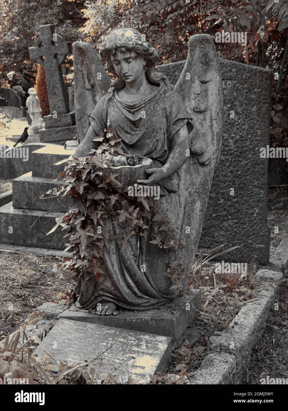 A grave adorned with the sculpture of an angel. London Highgate Cemetery. UK. Stock Photo