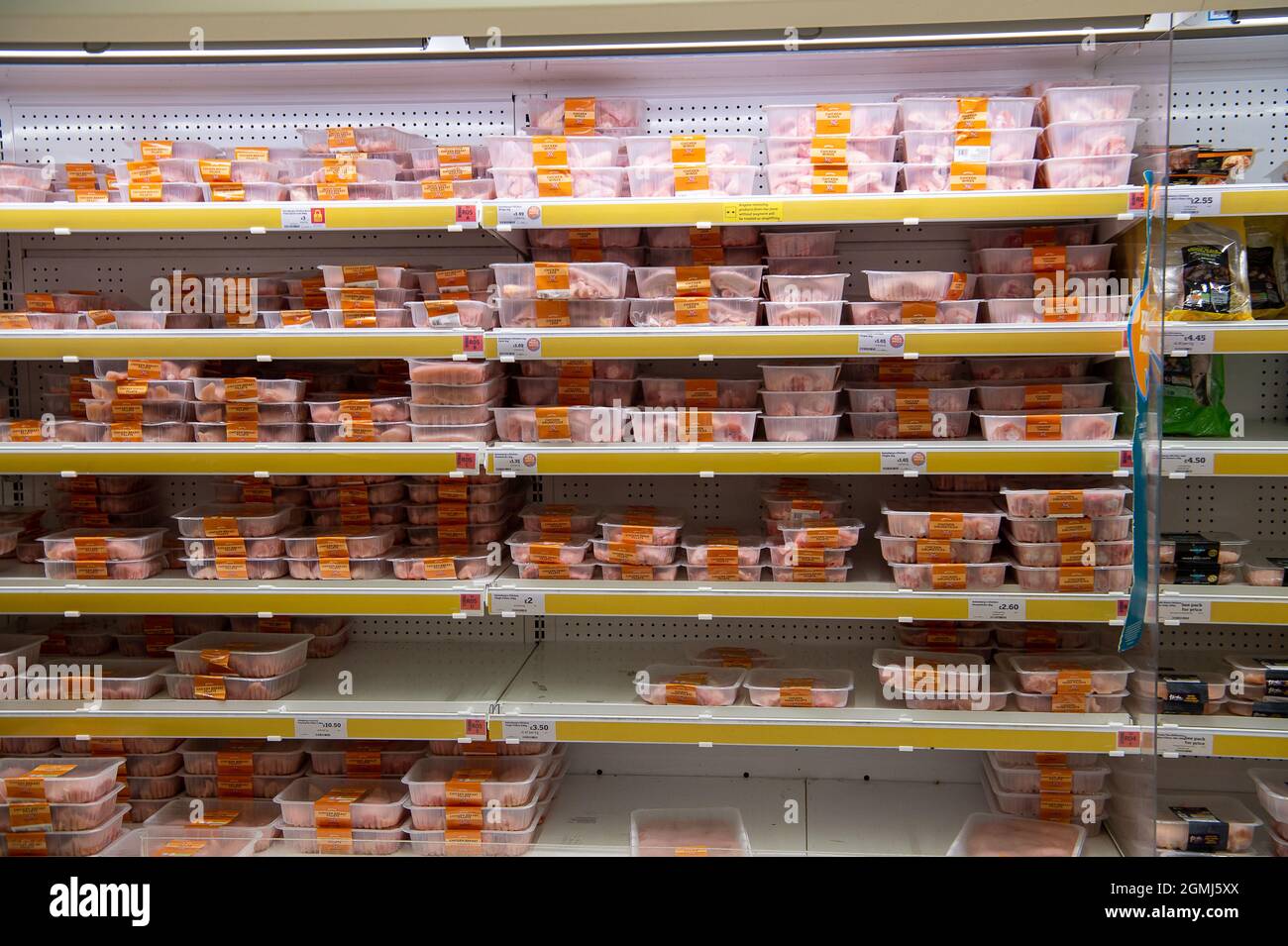 Taplow, UK. 19th September, 2021. Chicken in the meat isle. Sainsbury's Supermarket had a good supply of food in their store today. Some lines are still being impacted upon by supply chain issues including bottled water and carbonated drinks such as cola due a shortage of carbon dioxide. This may lead to meat running short in supermarkets as animals are stunned before being slaughtered using carbon dioxide. Credit: Maureen McLean/Alamy Live News Stock Photo
