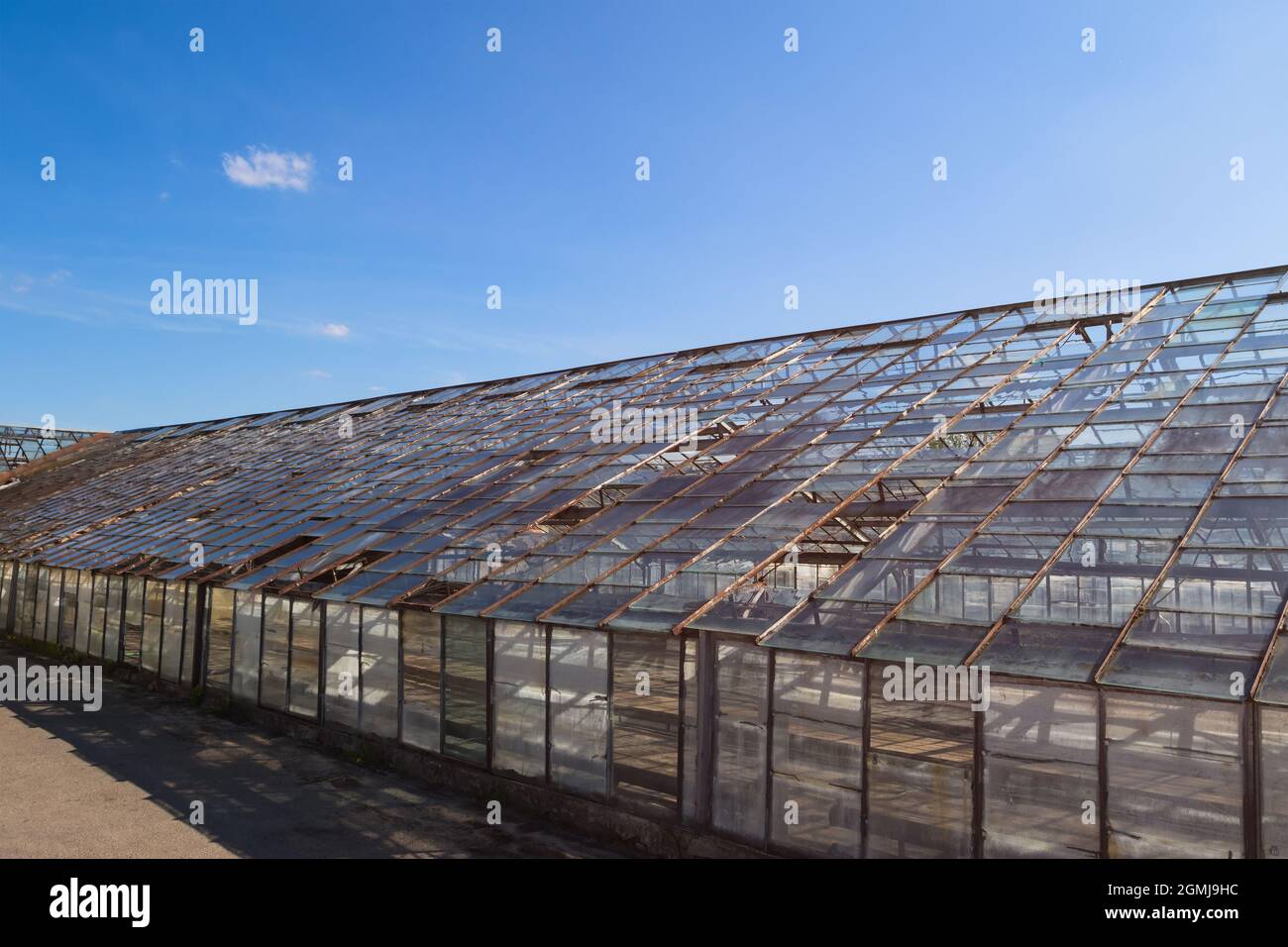 Old greenhouse with glass roof Stock Photo Alamy
