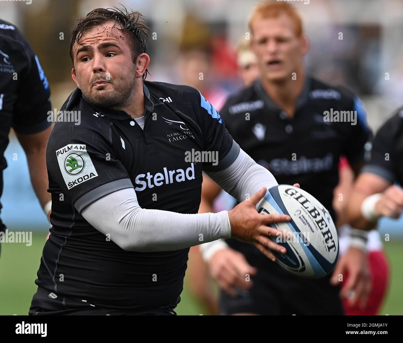 Newcastle falcons hotsell v jersey