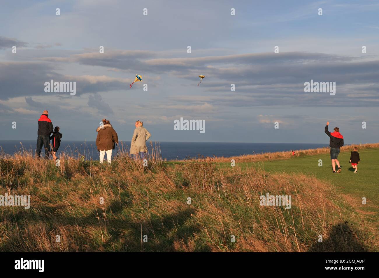 Man and Boy flying a kite with family looking on Stock Photo