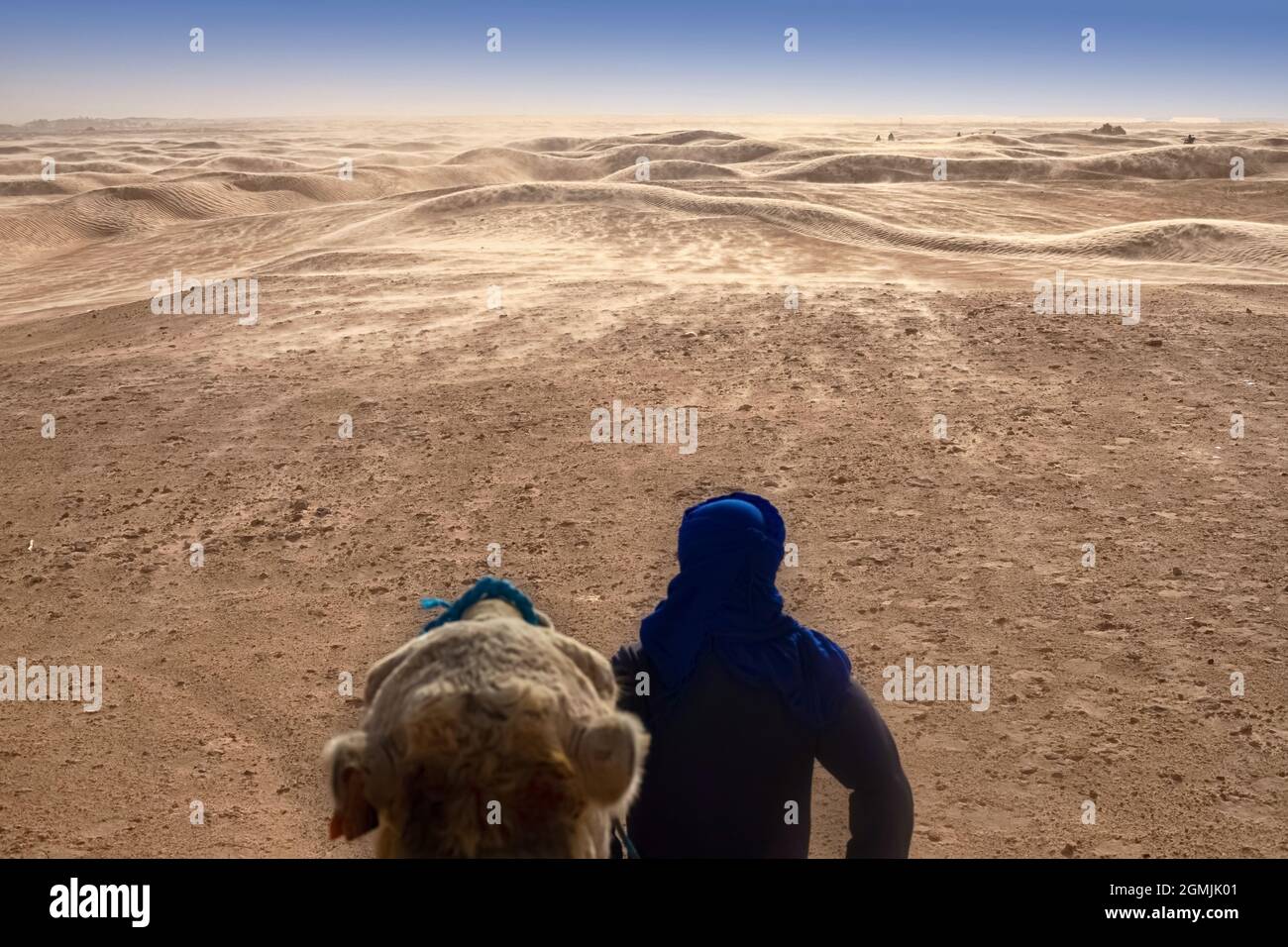 Berber stands with his back with a camel and looks into the distance in the Sahara Desert Stock Photo