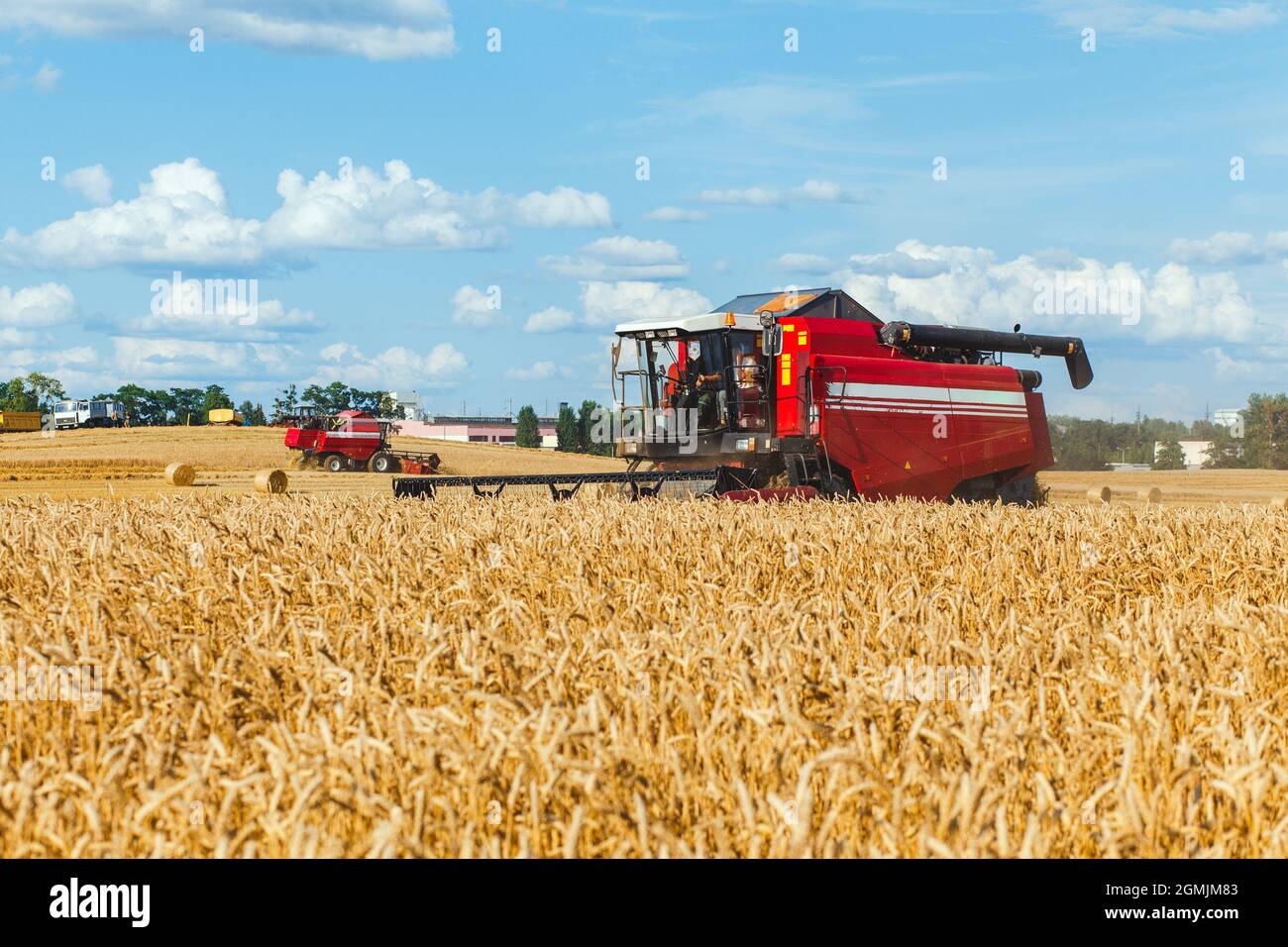 Combine harvester harvesting wheat on sunny summer day Stock Photo - Alamy