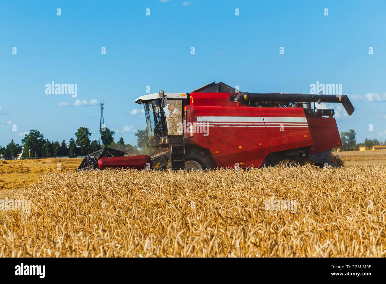 Combine harvester harvesting wheat on sunny summer day Stock Photo - Alamy