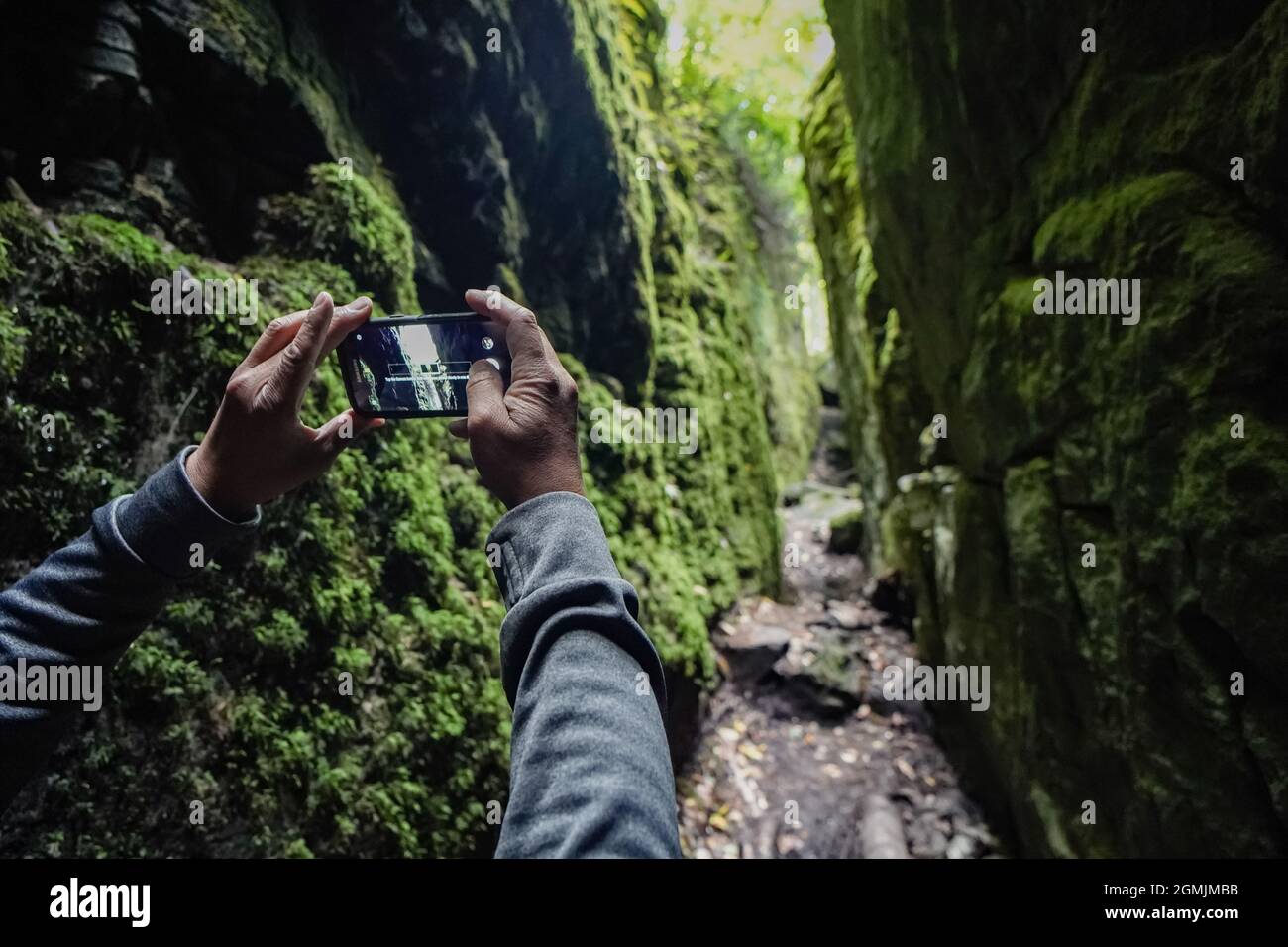 Taking picture using cell phone at an outdoor hike trail Stock Photo
