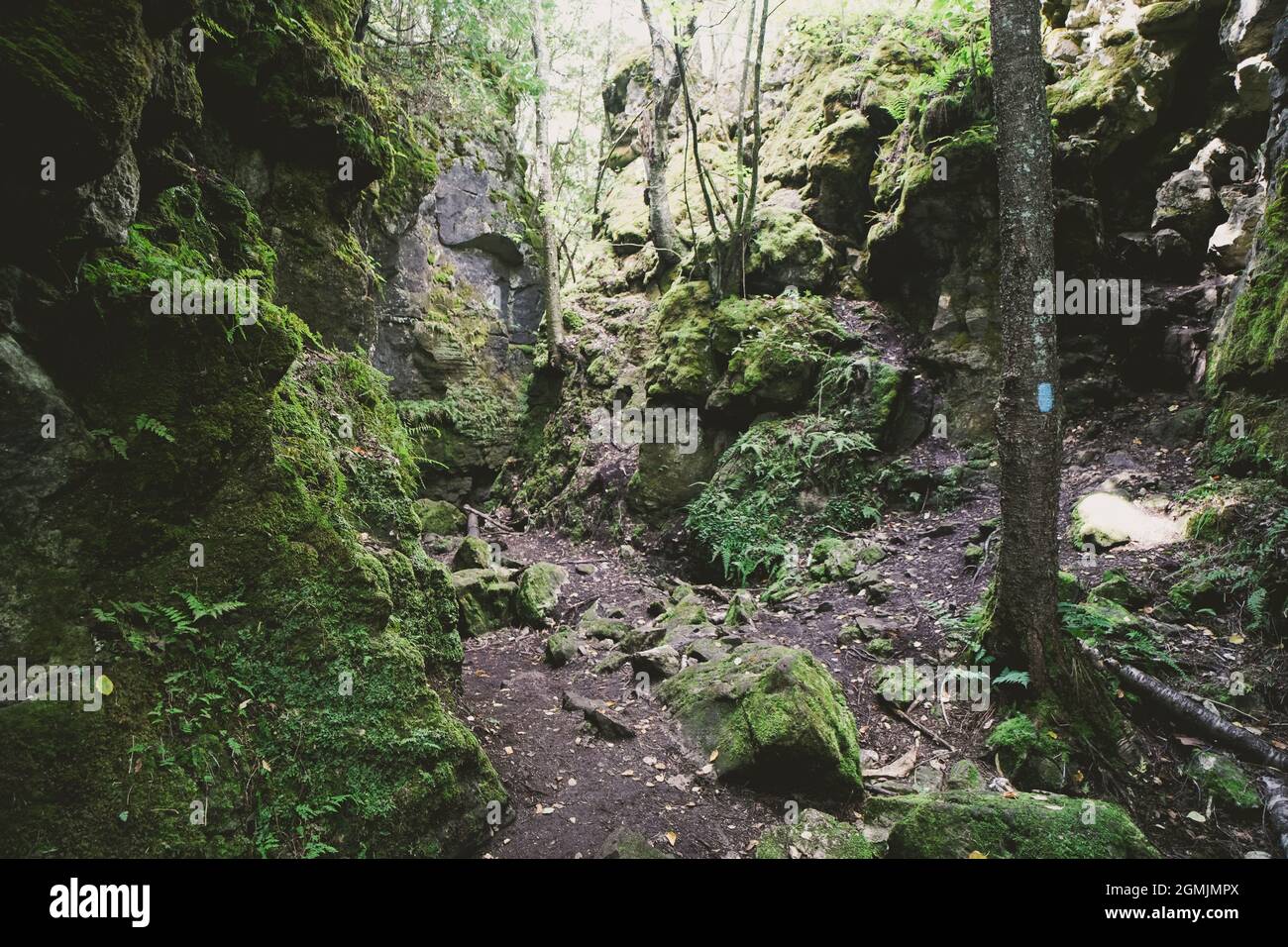 Singhampton cave and hiking trail in Ontario Canada is famous for