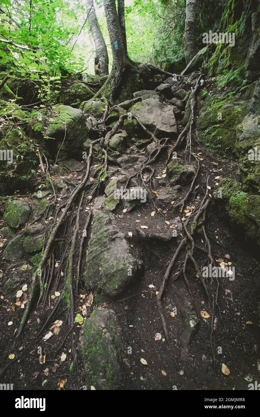 Singhampton cave and hiking trail in Ontario Canada is famous for