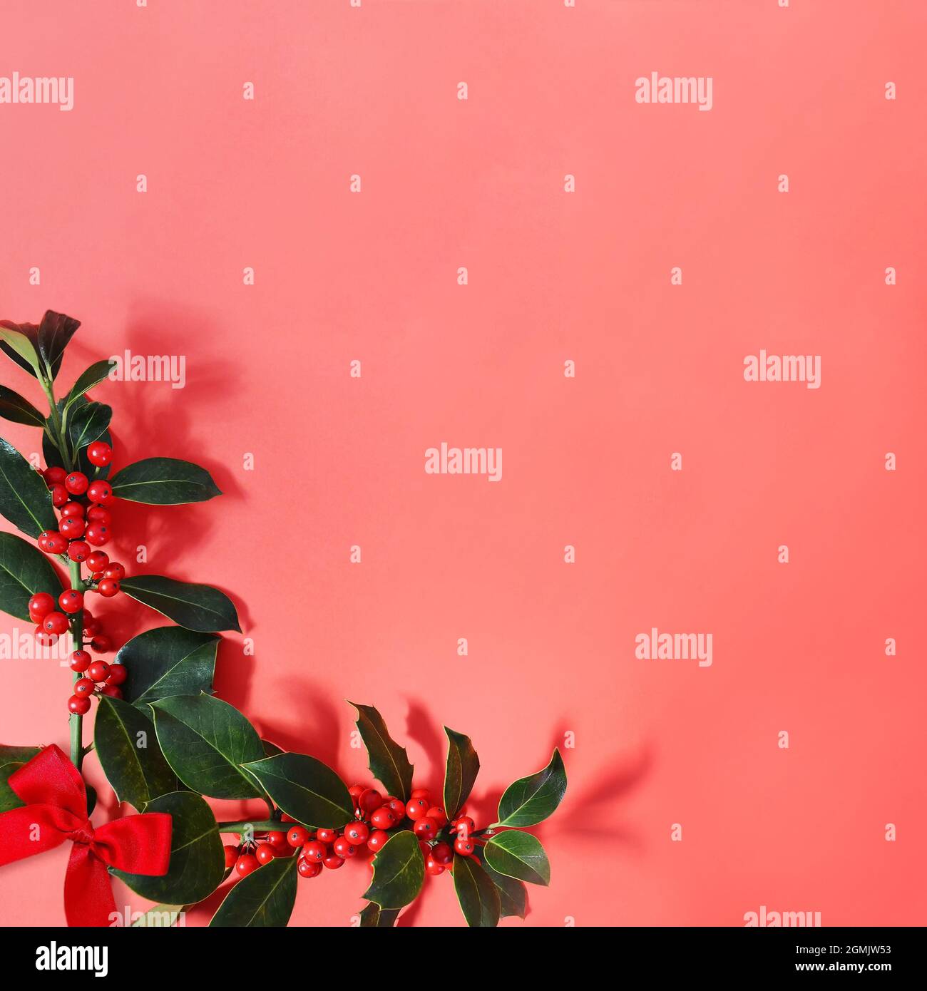 Christmas holly border background hi-res stock photography and images ...