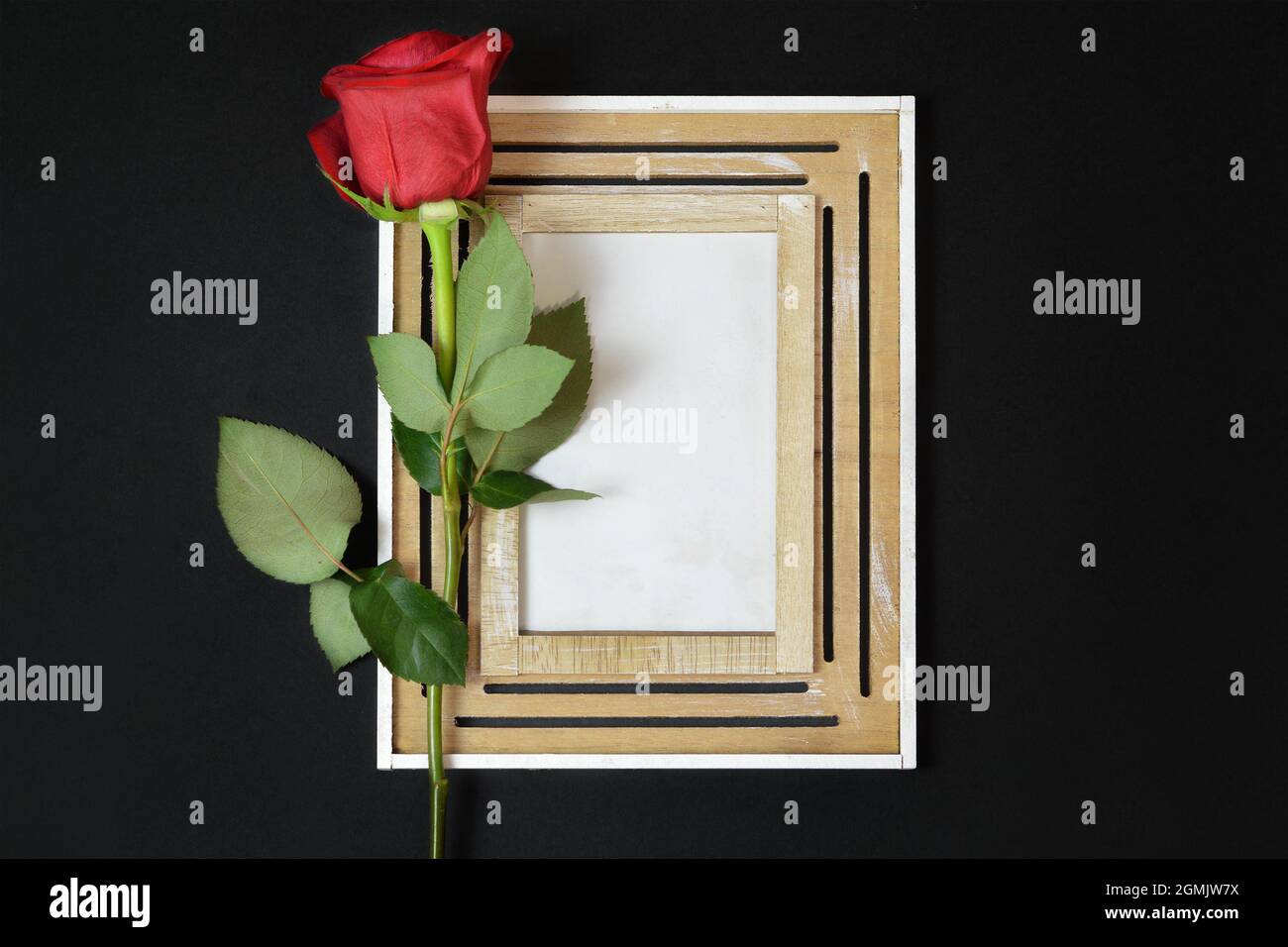 Condolence card with mock-up frame and red rose on black background Stock Photo