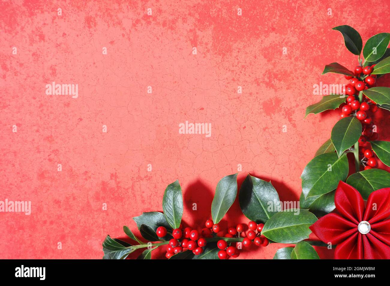 Christmas holly branches on red grunge background with copy space Stock ...
