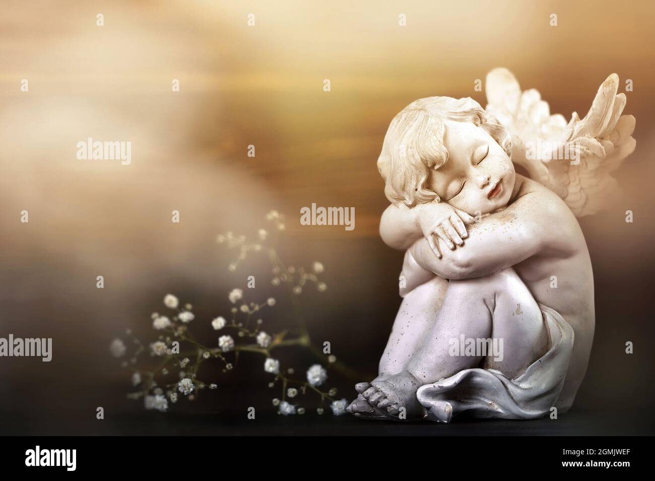Sleeping angel and white flowers. Sympathy card Stock Photo
