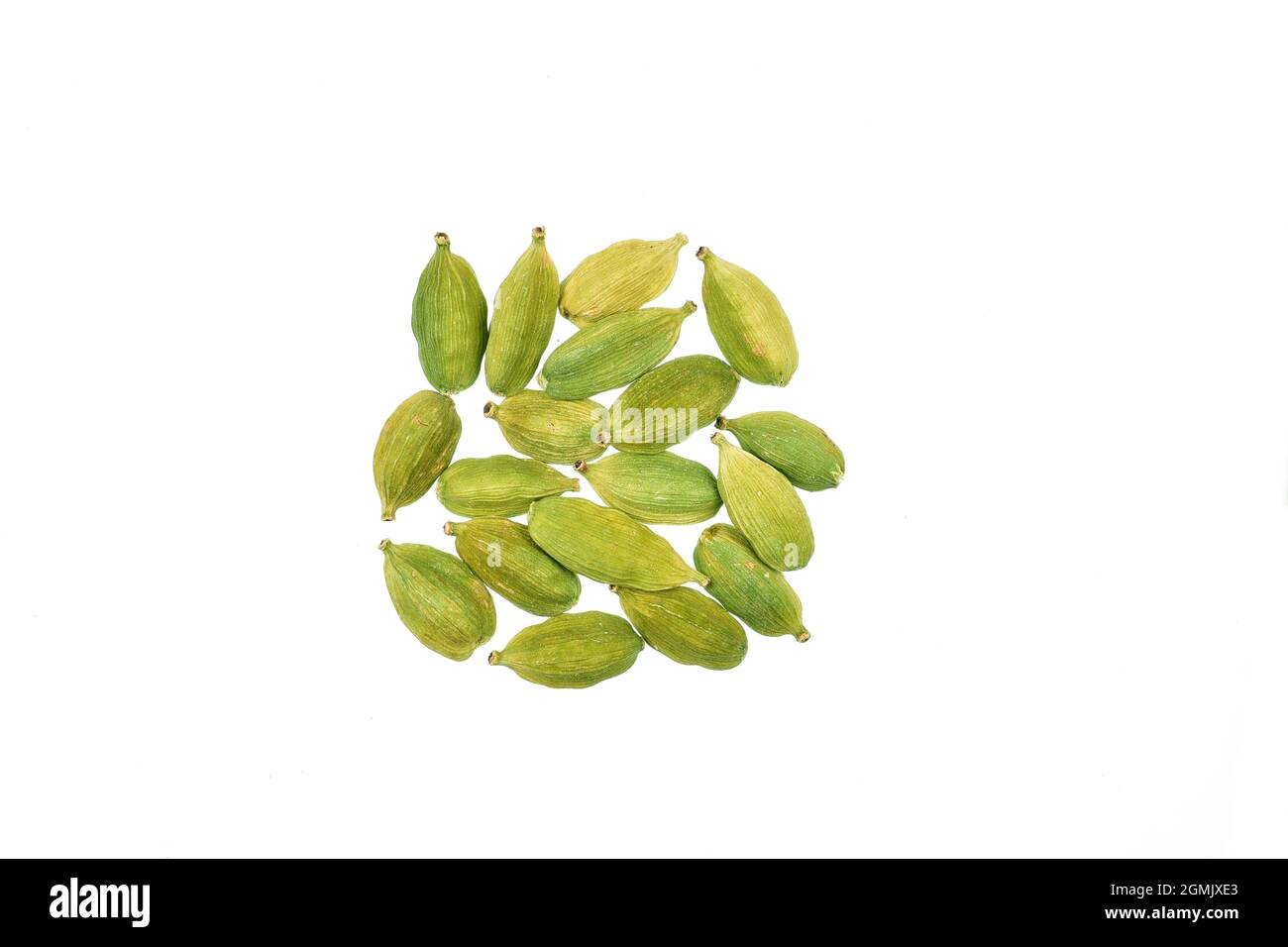 top view of fresh cardamom isolated on white background with clipping path Stock Photo