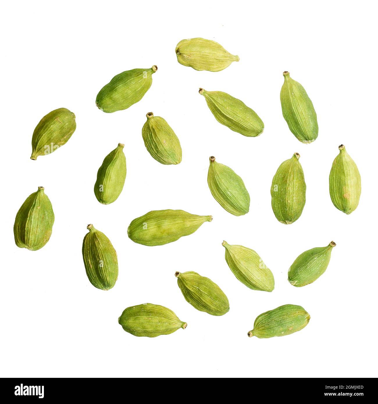 Top View of Cardamom Isolated on White Background with Clipping Path Stock Photo