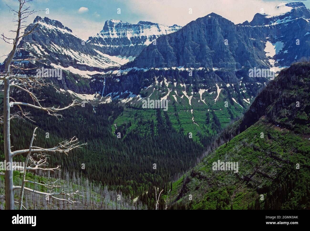 Summer Snow on Spectacular Peaks Near Logan Pass in Glacier National Park in Montana Stock Photo