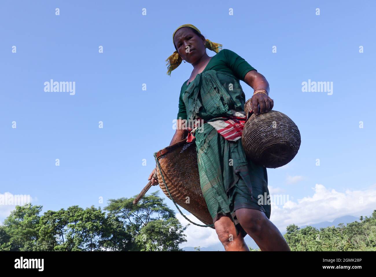 Bodo community women searching fish in a mud water field using