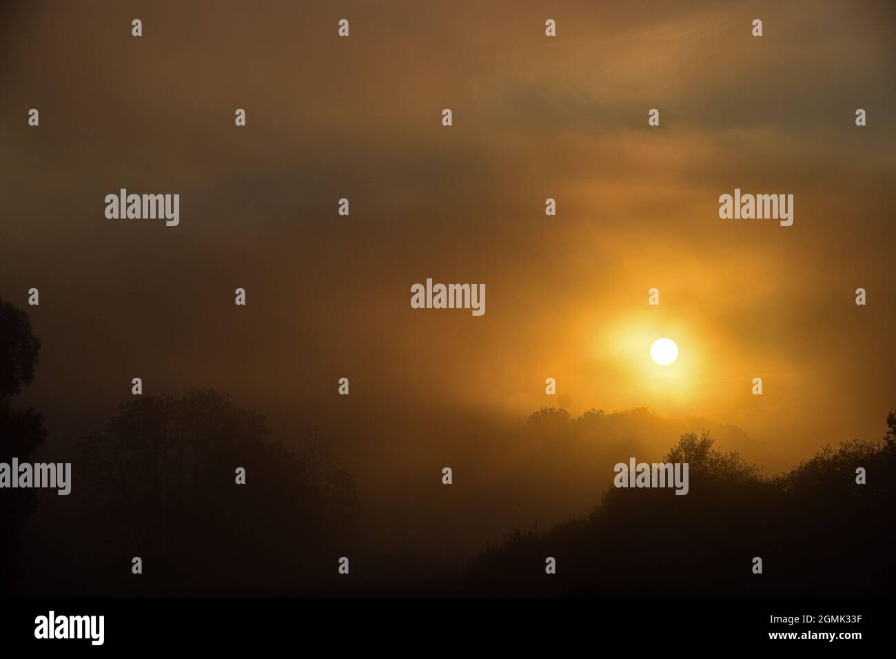Sonnenaufgang im nebel am Mindelsee bei Radolfzell am Bodensee Stock Photo