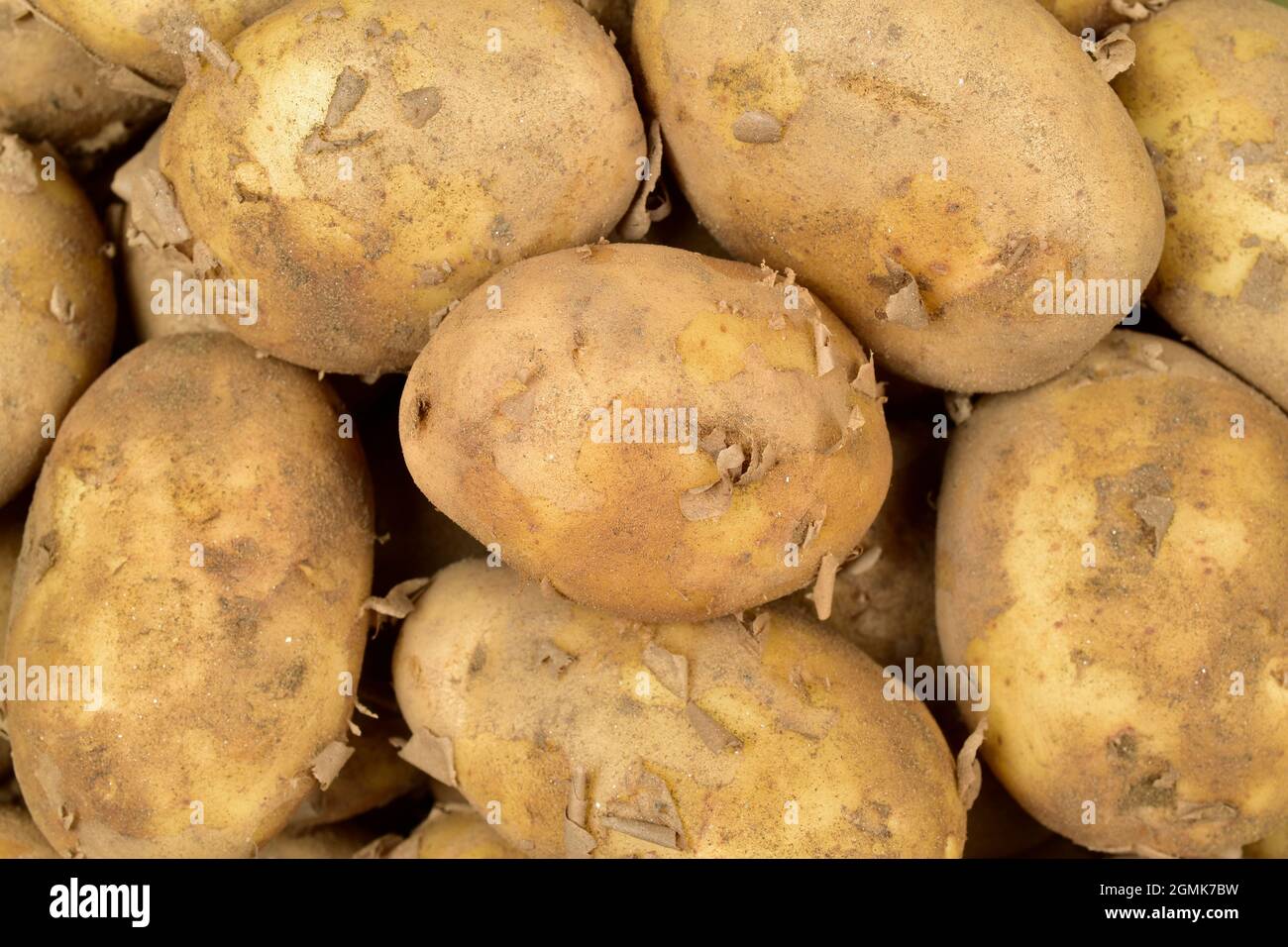 Top View of Potatoes texture background Stock Photo Alamy