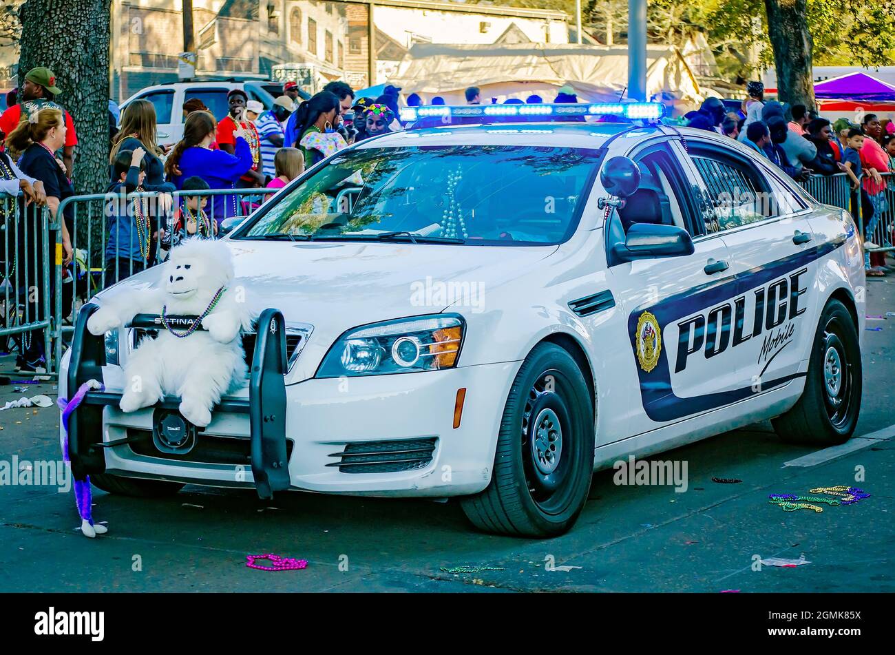 A Mobile Police car is adorned with a white plush animal while participating in the Joe Cain Day Mardi Gras parade, Feb. 26, 2017, in Mobile, Alabama. Stock Photo