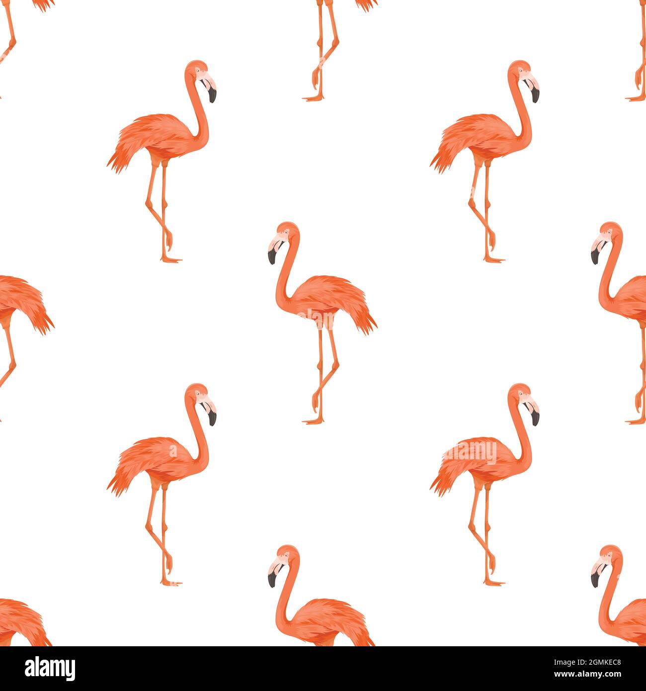Seamless Flamingo Bird Pattern. Repeated Tropical Animal Background. Flat  Vector Illustration. Africa, Savannh, Exotic Birds. Summer, Flamingo  Pattern Stock Vector Image & Art - Alamy