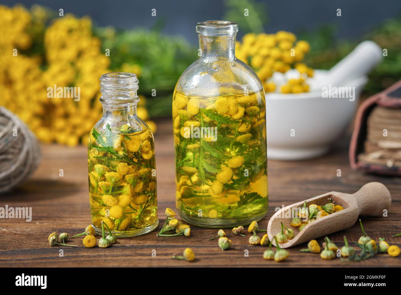 Essential oil or infusion bottles of tansy healthy herbs, blooming common tansy plants on background. Alternative and herbal medicine. Stock Photo
