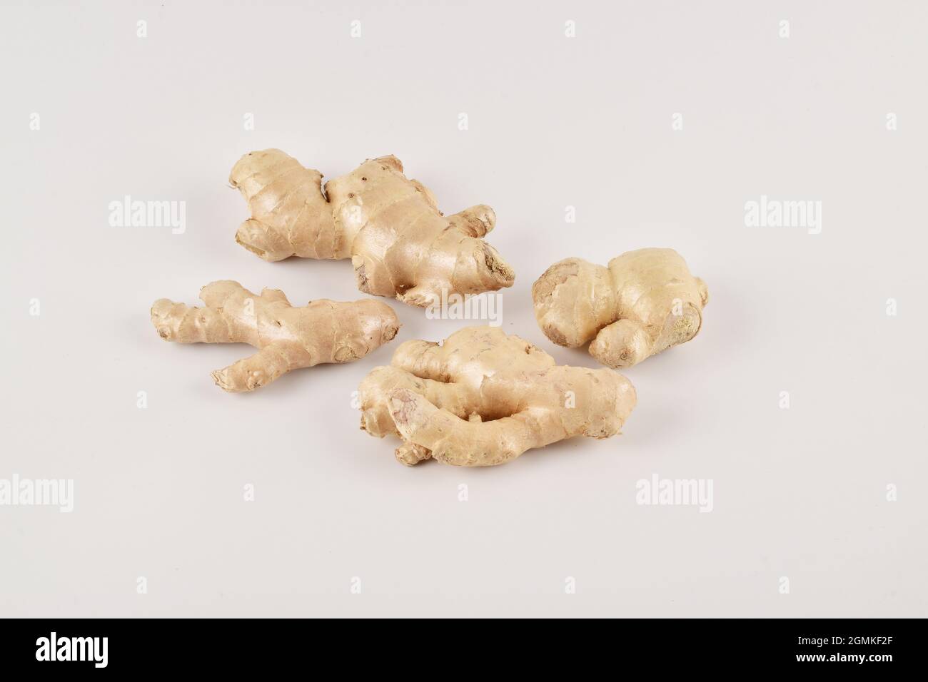 Ginger on White Background Stock Photo