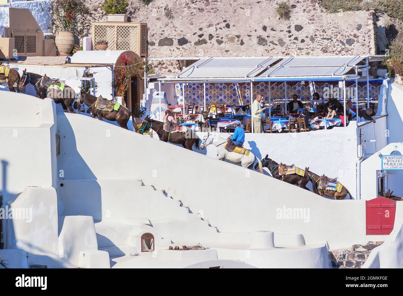 People riding mules up a stairway, Oia, Santorini, Cyclades Islands ...