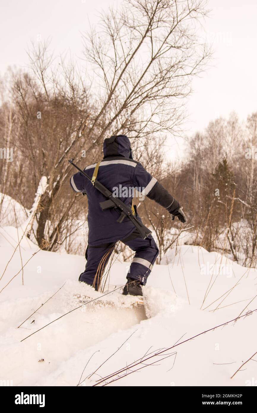 a hunter or forester with a weapon on his shoulders on wide forest skis ...