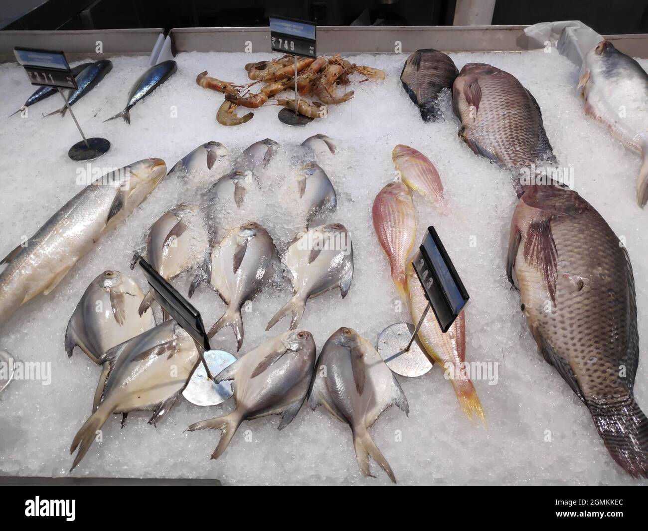 Fish Displayed in Fish Market Stock Photo