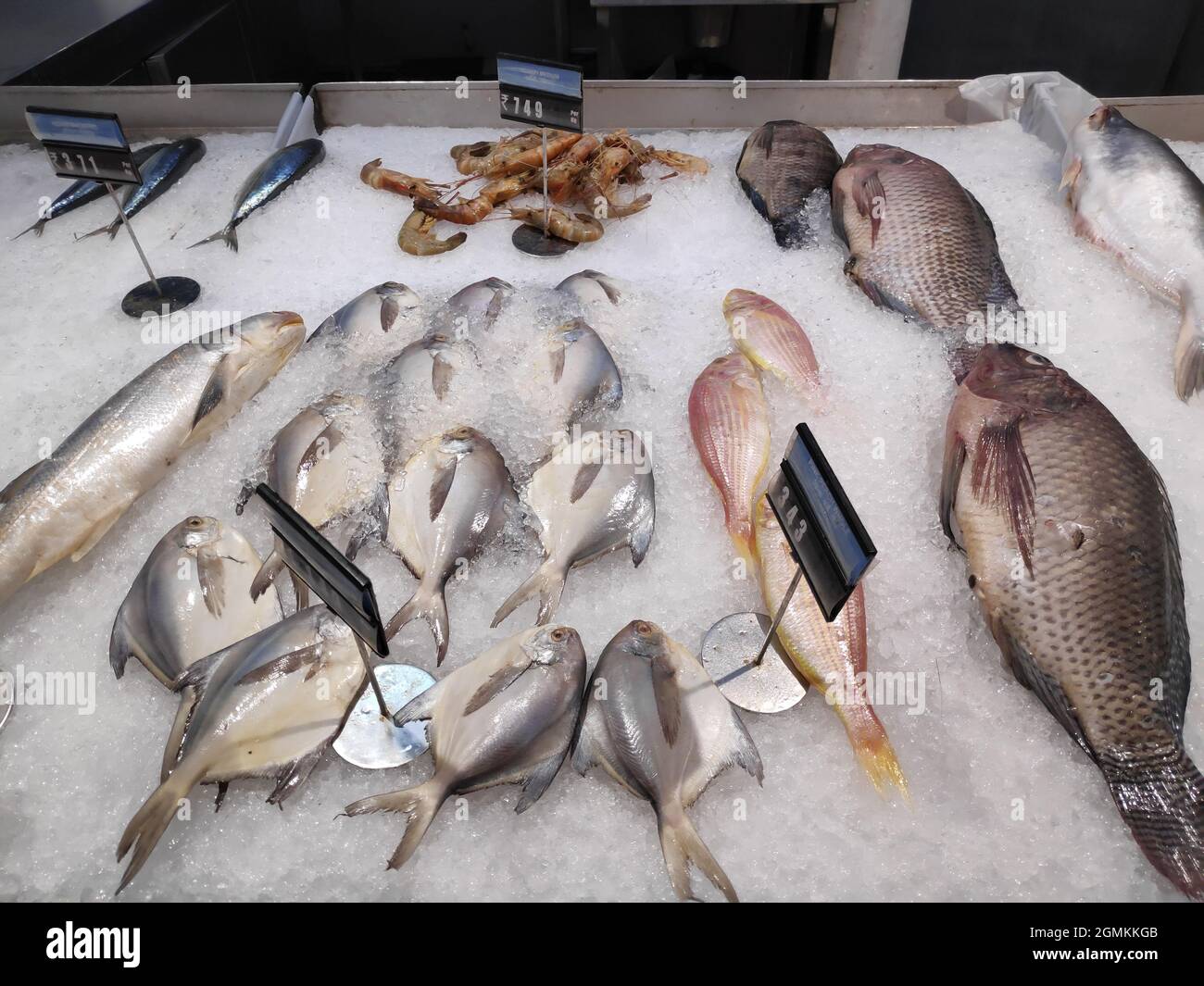 Closeup of Fishes in Grocery Store Stock Photo