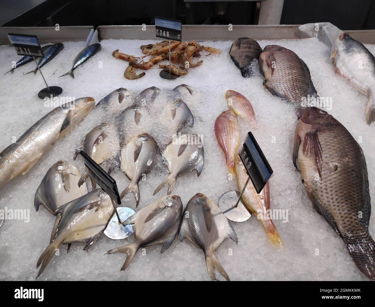 fish market, fish on the ice, fresh raw fish with price tag Stock Photo
