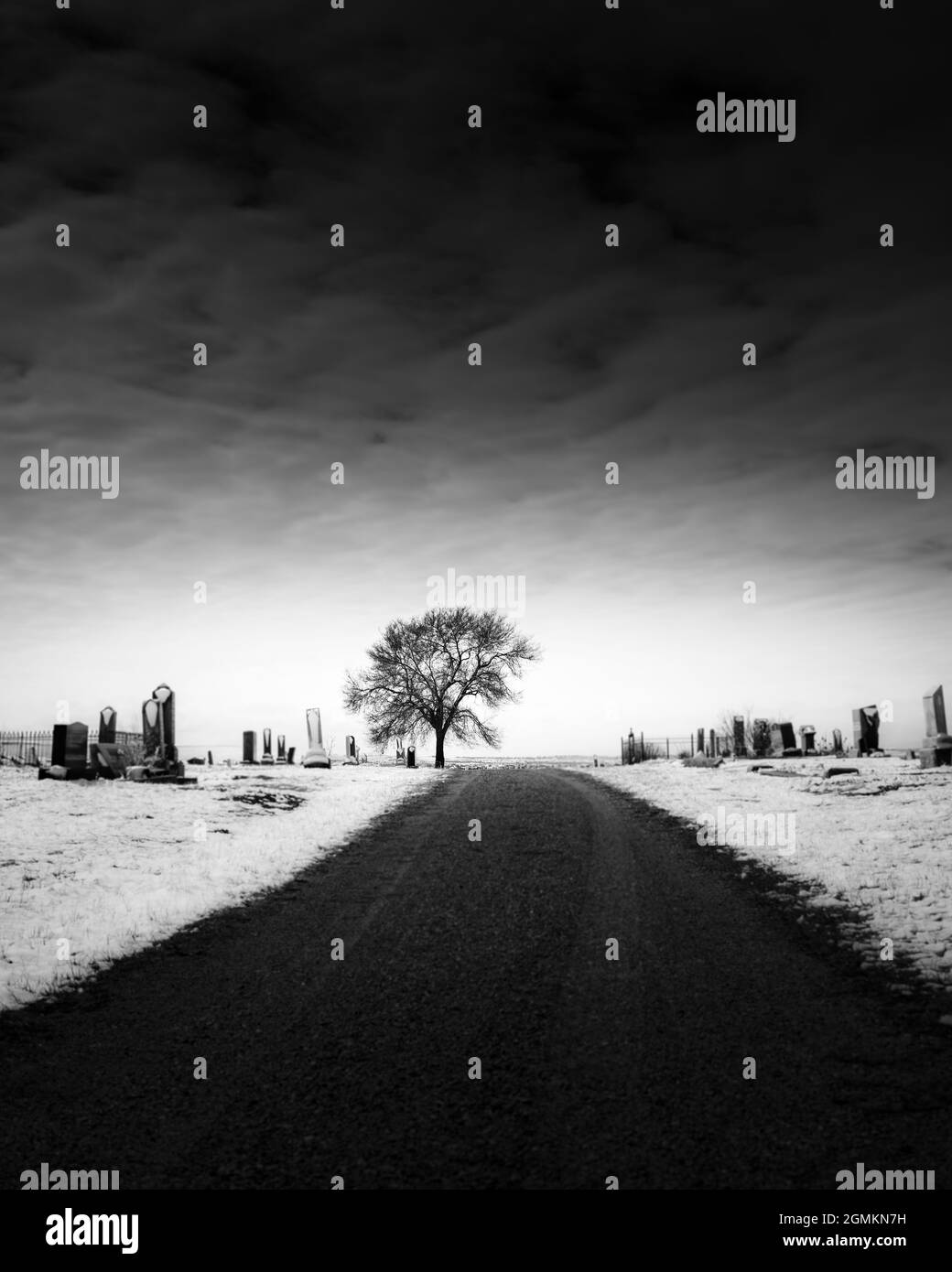 A stylized image of a tree in a cemetery Stock Photo