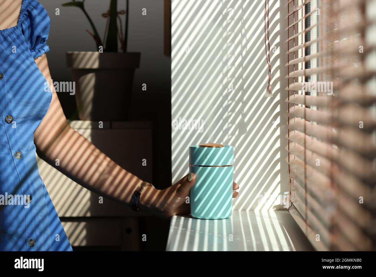 Woman with modern air humidifier near window Stock Photo Alamy