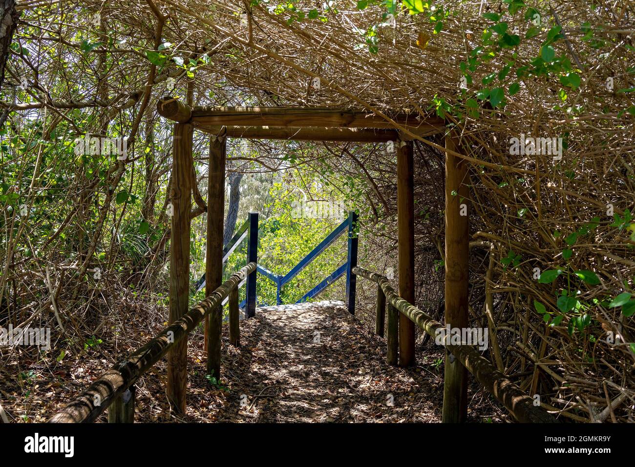 Coastal vine covered timber arch and stairs down to a beach Stock Photo