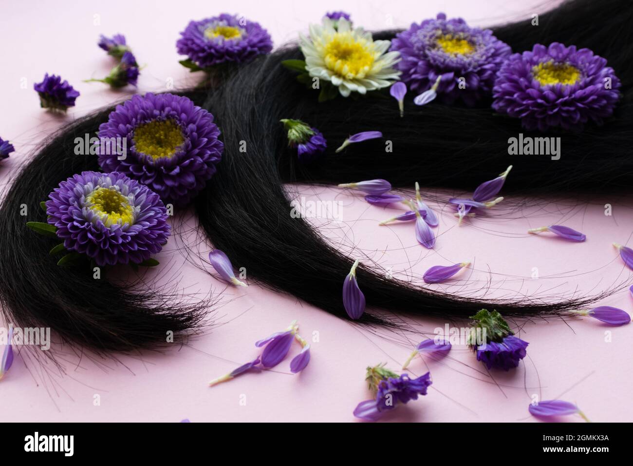 Dark hair with lilac flowers and petals on it. Hair care concept. Stock Photo