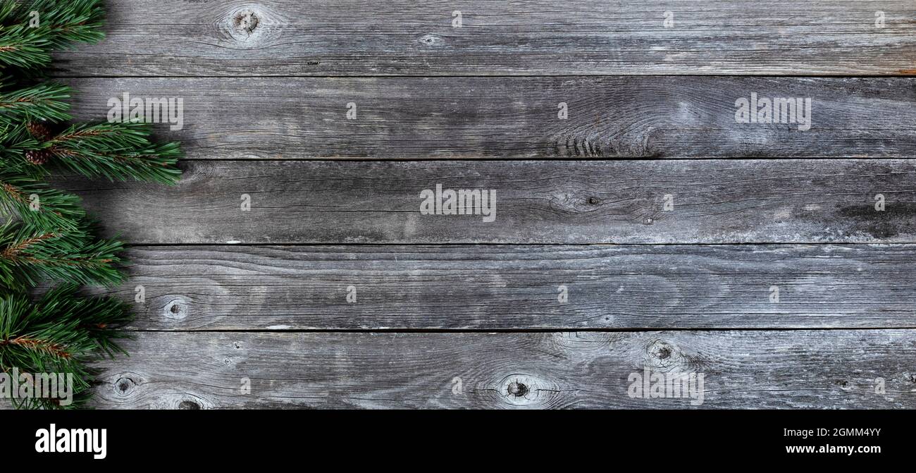 Left border of real fir tree branches on rustic wooden plank background ...