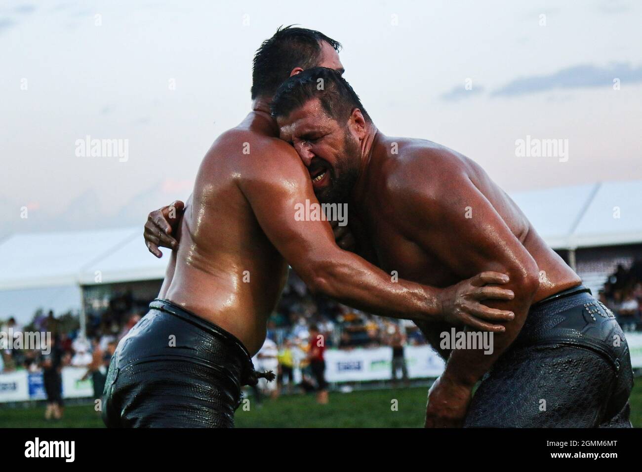 Oil wrestlers wrestle during the traditional Ulugazi Oil Wrestling
