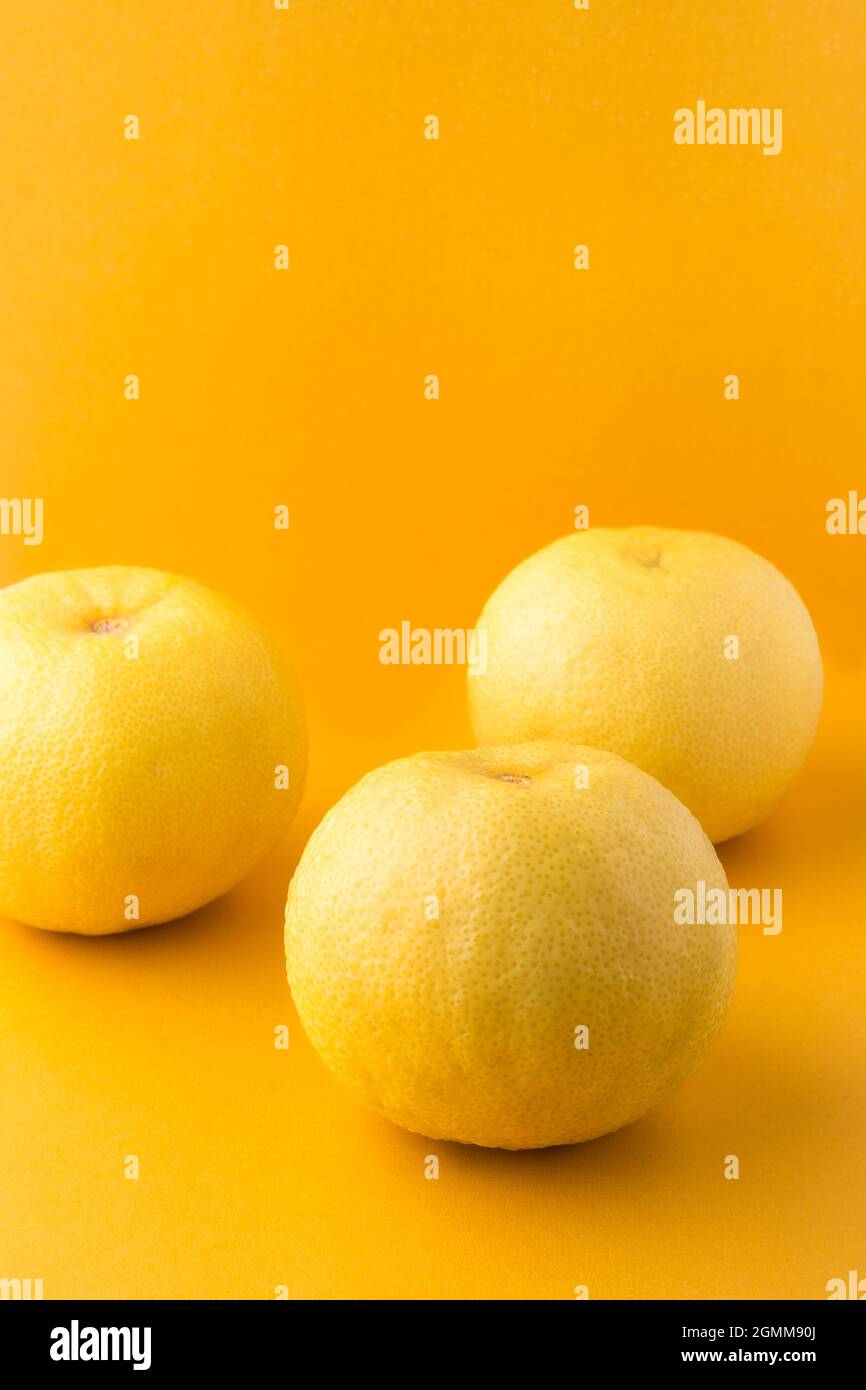 sour orange or bitter orange, also called seville, bigrade or marmalade orange, high vitamin C citrus fruit isolated on a vibrant yellow background Stock Photo
