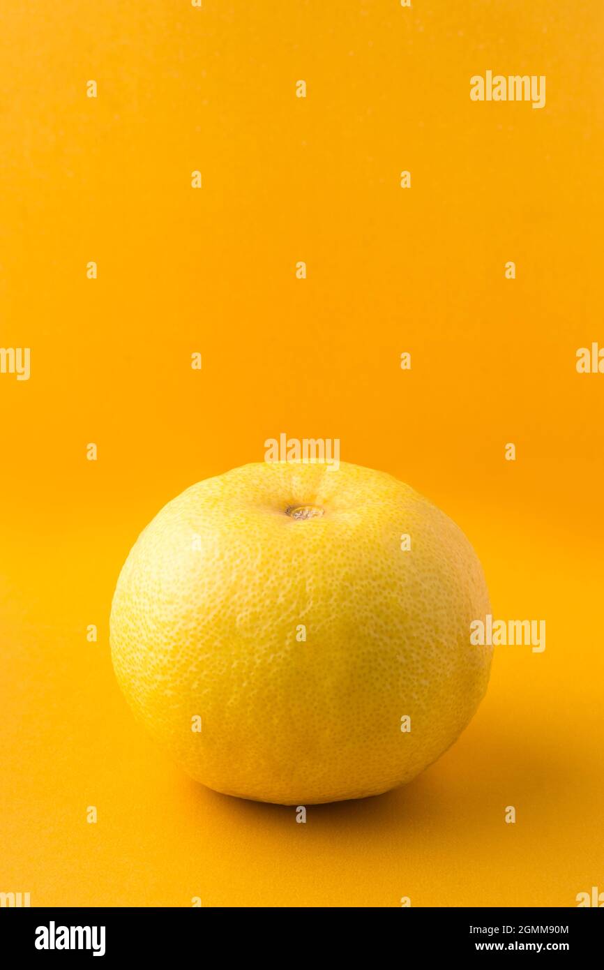 sour orange or bitter orange, also called seville, bigrade or marmalade orange, high vitamin C citrus fruit isolated on a vibrant yellow background Stock Photo